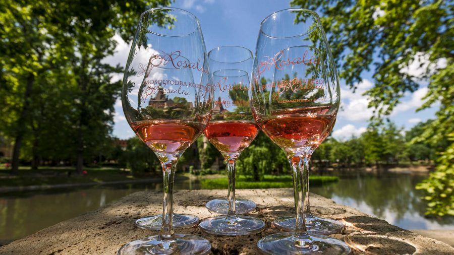 2021-ben öt rosé versenyez a Rosalia fesztivál ünnepi bora címért