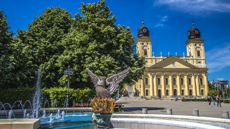 Bemutatták Debrecen város bora 2021 győzteseit